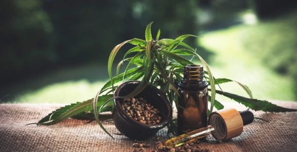 fleurs cbd
